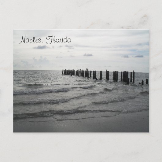 Grüße aus Florida Grußkarte Postkarte Briefkaart (Voorkant)