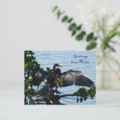Grüße aus Florida Grußkarte Postkarte Briefkaart (Staand voorkant)