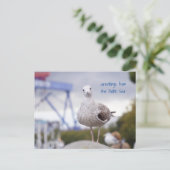 Grüße von der Ostsee - Möwe Briefkaart (Staand voorkant)