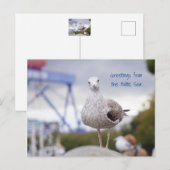 Grüße von der Ostsee - Möwe Briefkaart (Voorkant / Achterkant)