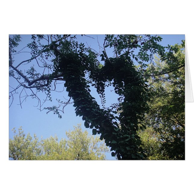 Grusskarte Baumherz, deken (Voorkant Horizontaal)