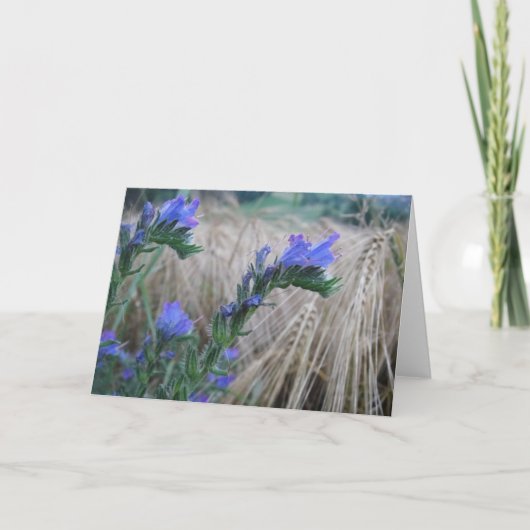 Grusskarte Kornblumen Kaart (Voorkant)