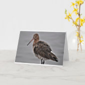 Grutto met zwarte staart kaart (Gele Bloem)