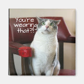 Gruwde kat magneet (Voorkant)