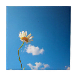 Grytunderlägg Daisy Tegeltje