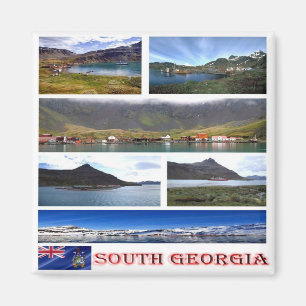 GS - Zuid - Georgië - Mozaïek - collage Magneet