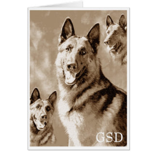 GSD gedefinieerd