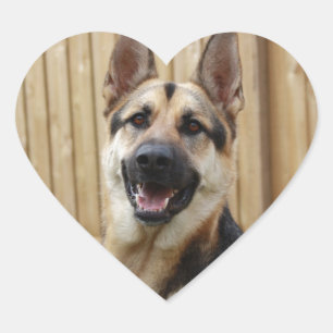 GSD Head Shot Hart Sticker