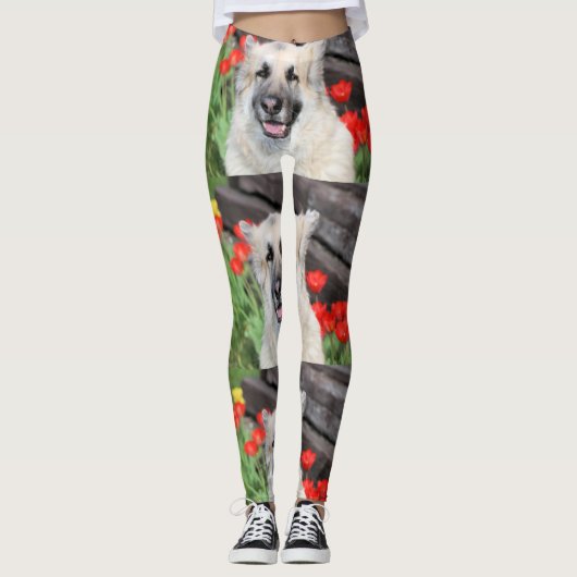  GSD LEGGINGS (Voorkant)