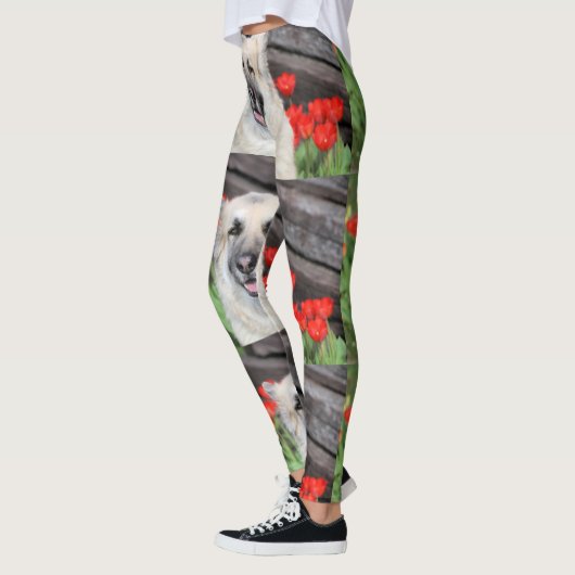GSD LEGGINGS (Links)