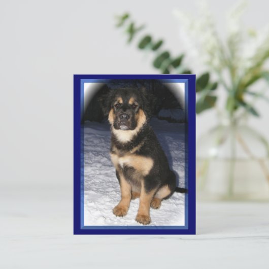 GSD Mix briefkaarten (Staand voorkant)