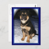 GSD Mix briefkaarten (Voorkant / Achterkant)