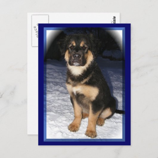 GSD Mix briefkaarten (Voorkant / Achterkant)