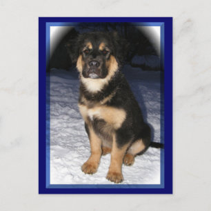 GSD Mix briefkaarten