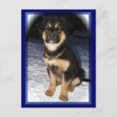 GSD Mix briefkaarten (Voorkant)