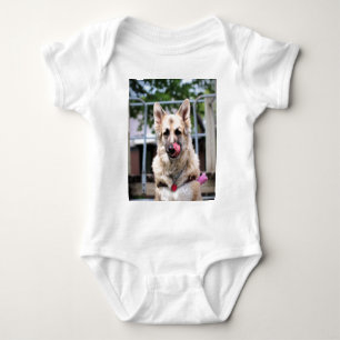 GSD ROMPER