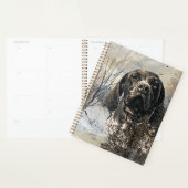 GSP, Duitse kortharige aanwijzer Planner (Display)