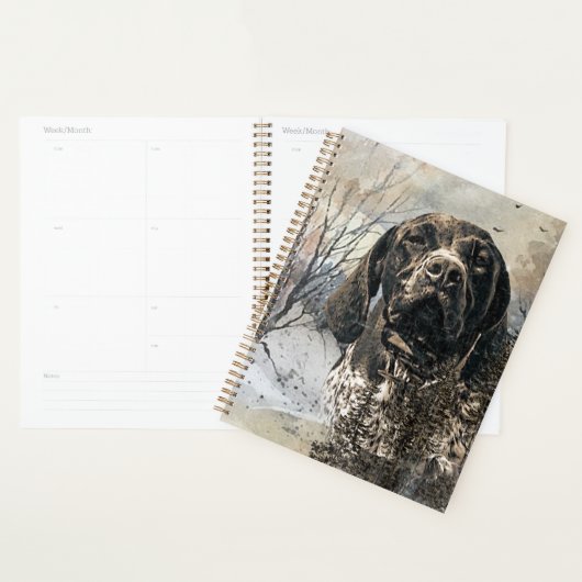 GSP, Duitse kortharige aanwijzer Planner (Display)