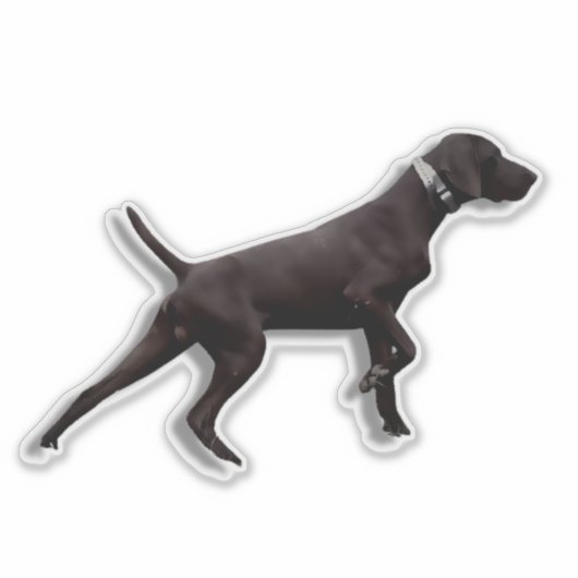 GSP pointer Sticker (Voorkant)