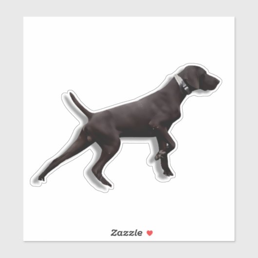GSP pointer Sticker (Vel)