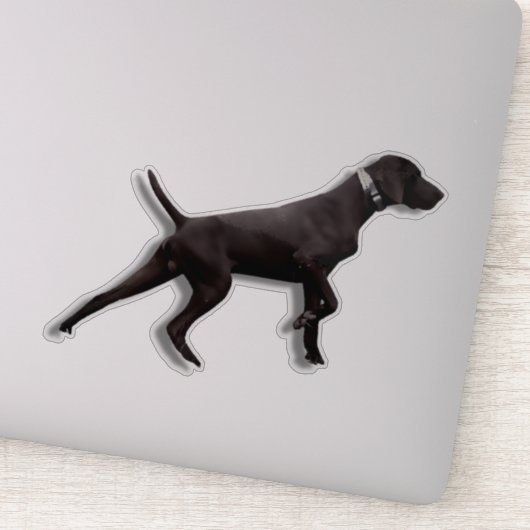 GSP pointer Sticker (Detail)