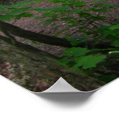 GT boslooplente 3 Poster (Hoek)