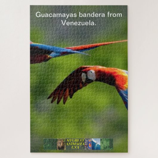 Guacamayas bandera uit Venezuela puzzel. Legpuzzel (Verticaal)