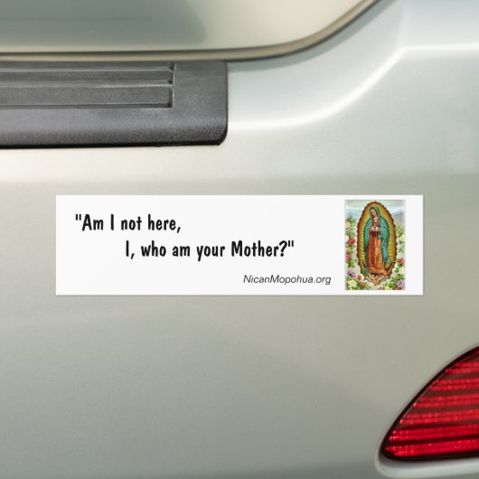 Guadalupe "Am I not here" Bumpersticker (Op auto)