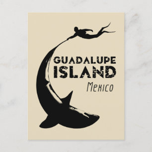 Guadalupe Island, Mexico Duiken met haaien Briefkaart