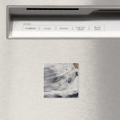 Guadalupe Magneet (Insitu (Vaatwasser))