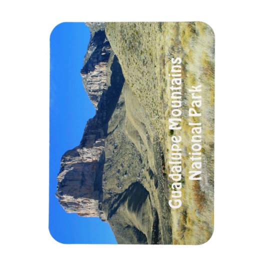 Guadalupe Mountains National Park Magnet Magneet (Verticaal)