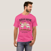 Guadalupe Mountains National Park T-shirt (Voorkant volledig)