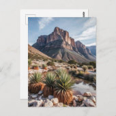Guadalupe Mountains National Park Travel Briefkaart (Voorkant / Achterkant)