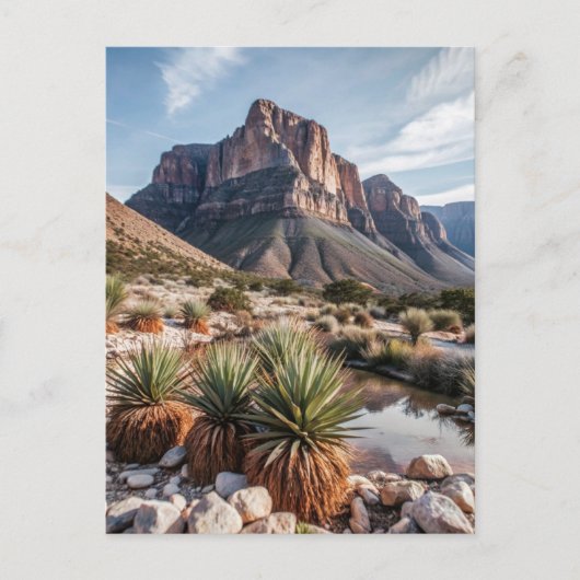 Guadalupe Mountains National Park Travel Briefkaart (Voorkant)