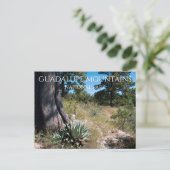 Guadalupe Mountains Ridge Agave, Pine en Juniper Briefkaart (Staand voorkant)
