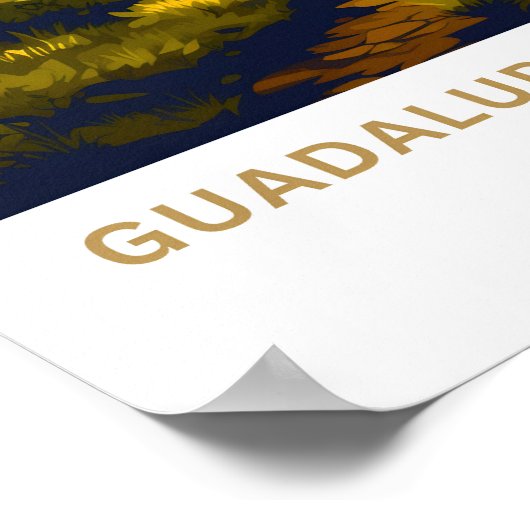 Guadalupe Mountains Texas Reisprint Poster (Hoek)