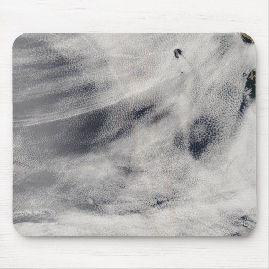 Guadalupe Muismat (Voorkant)