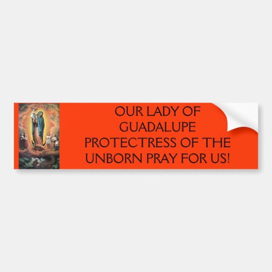 guadalupe, ONZE LADY OF GUADALUPE PROTECTRESS OF.. Bumpersticker (Voorkant)