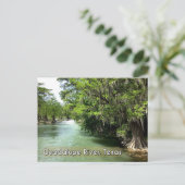 Guadalupe, rivier in Gruene, Briefkaart Texas (Staand voorkant)