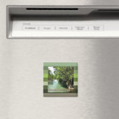 Guadalupe, rivier in Gruene, Texas Magnet (Insitu (Vaatwasser))