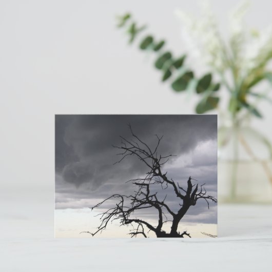 Guadalupe Storm Briefkaart (Staand voorkant)