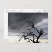 Guadalupe Storm Briefkaart (Voorkant / Achterkant)