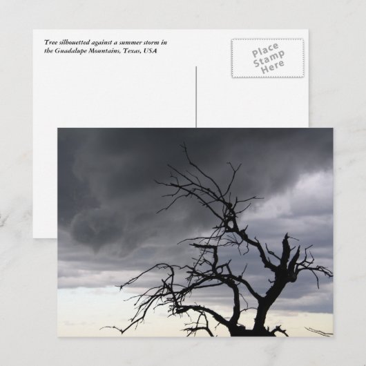 Guadalupe Storm Briefkaart (Voorkant / Achterkant)