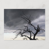 Guadalupe Storm Briefkaart (Voorkant)