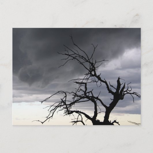 Guadalupe Storm Briefkaart (Voorkant)