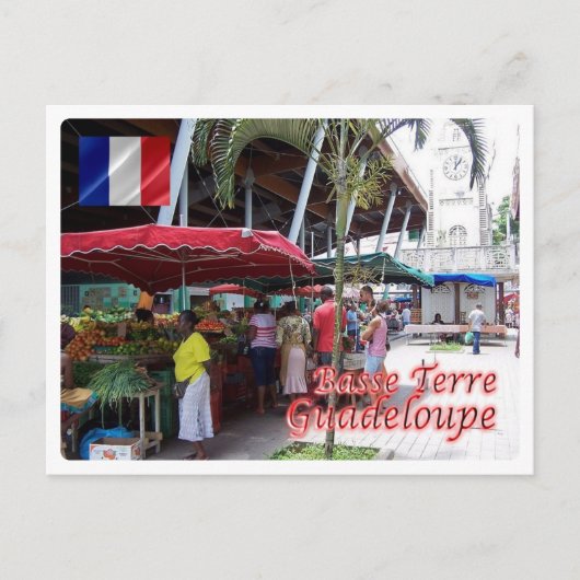 Guadeloupe - Basse Terre - Briefkaart (Voorkant)