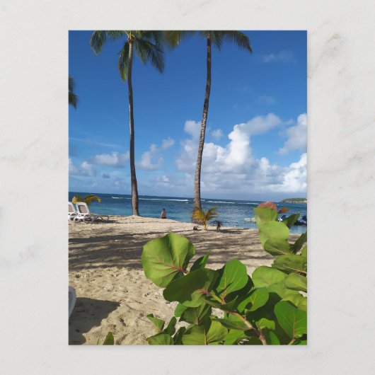 Guadeloupe-briefkaart Briefkaart (Voorkant)