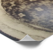 Guadeloupe Immigrant, Ellis Island, 1911 Poster (Hoek)