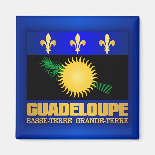 Guadeloupe vlag magneet (Voorkant)