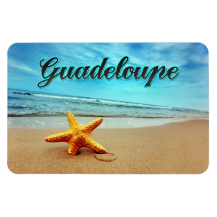 Guadeloupe zeester magneet